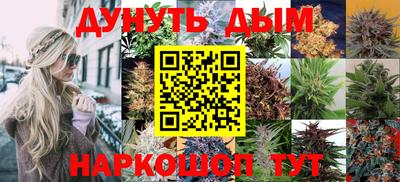 герыч Гатчина