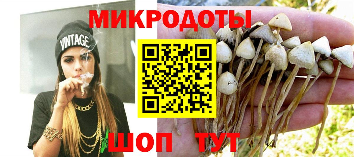 Галлюциногенные грибы ЛСД Калининград