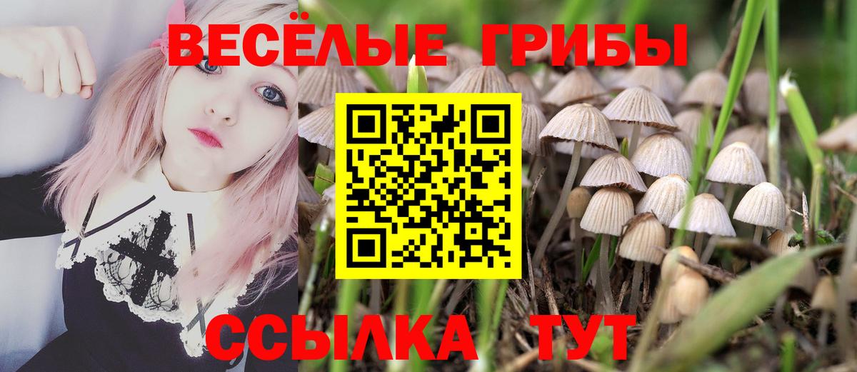 Калининград  Псилоцибиновые грибы мицелий  Вход с VPN 